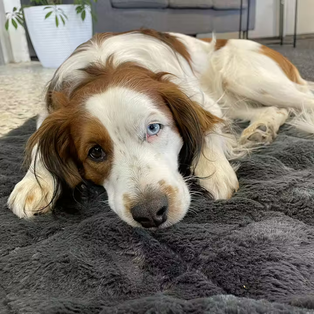 ThermoSwitch Blanket Samos/ Grey