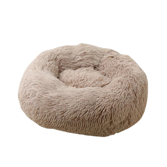 Glee Bed Geneva/ Mocha