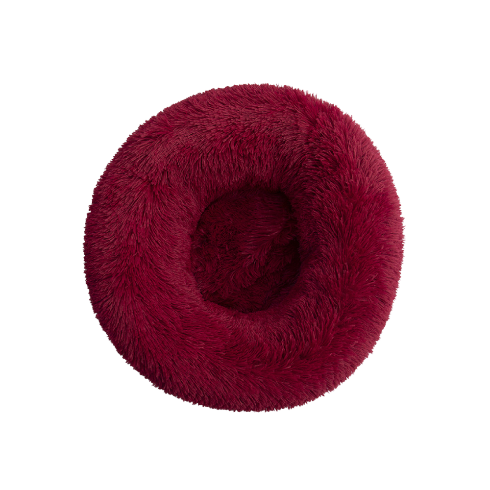 Glee Bed Geneva/ Burgundy