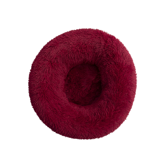 Glee Bed Geneva/ Burgundy