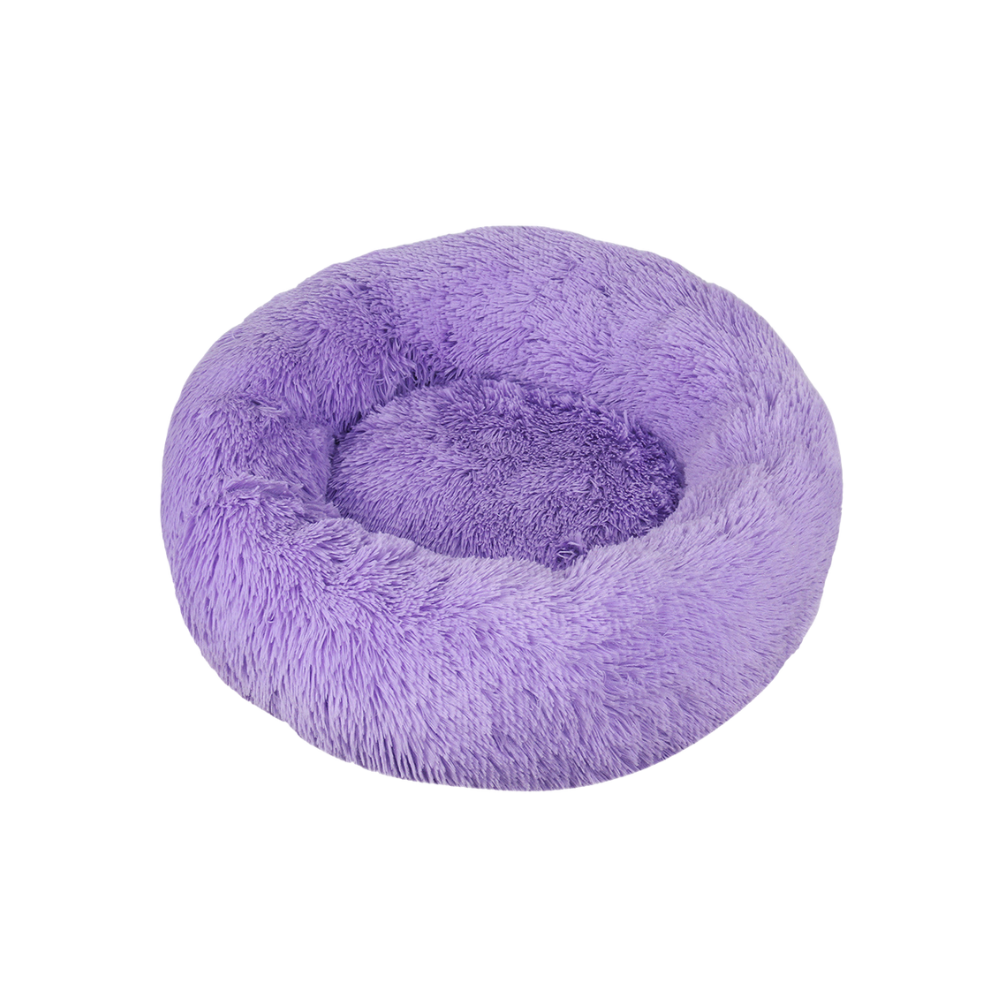 Glee Bed Geneva/ Purple