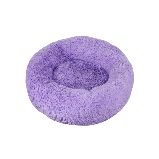 Glee Bed Geneva/ Purple