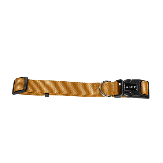 Glee Collar Adjustable Collar/ Ochre