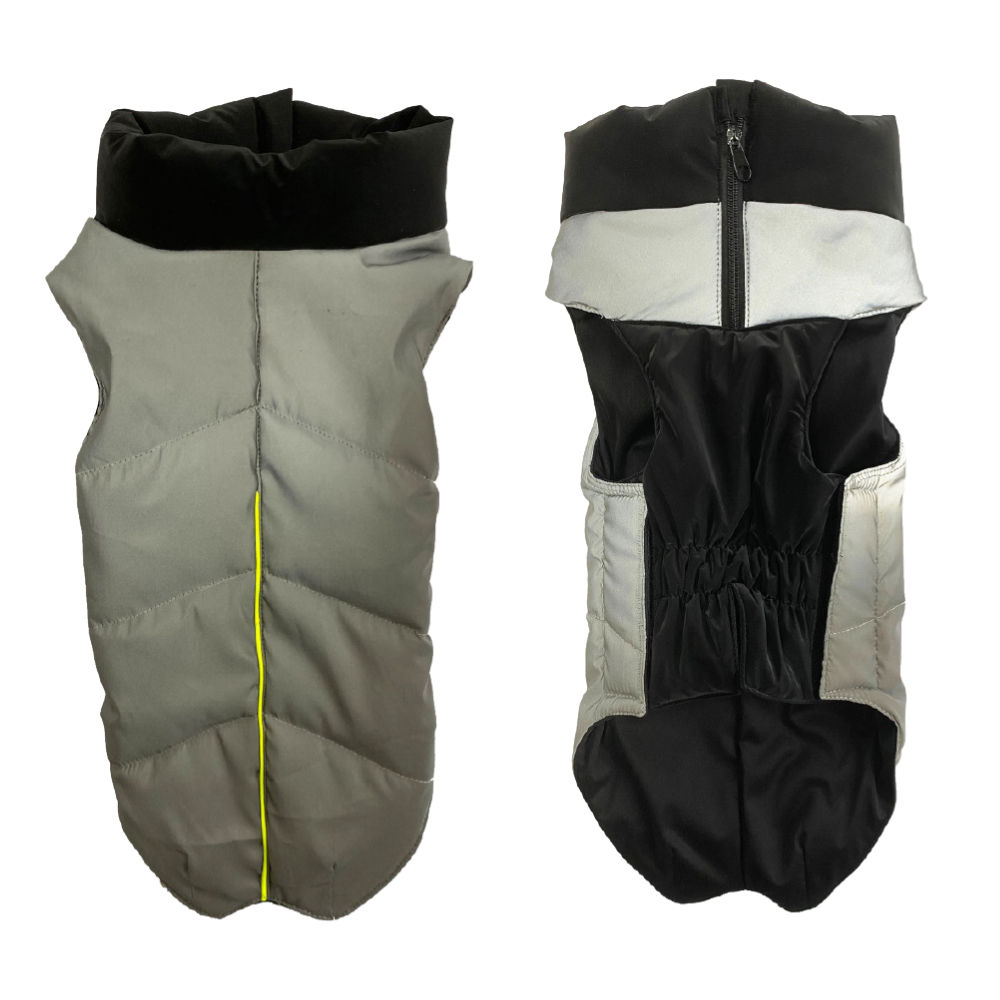 Glee Jacket Frank/ Gray