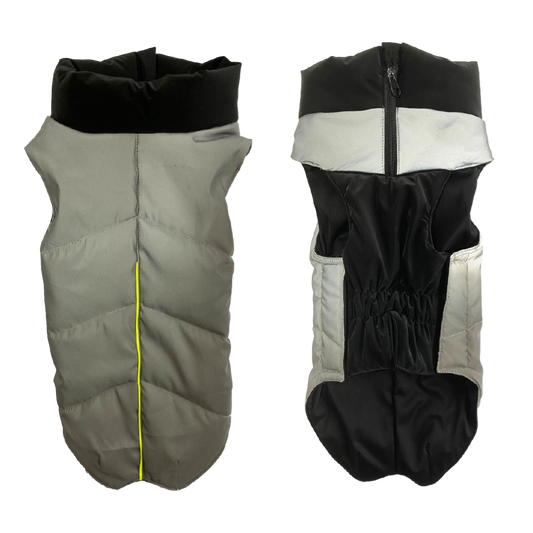 Glee Jacket Frank/ Gray