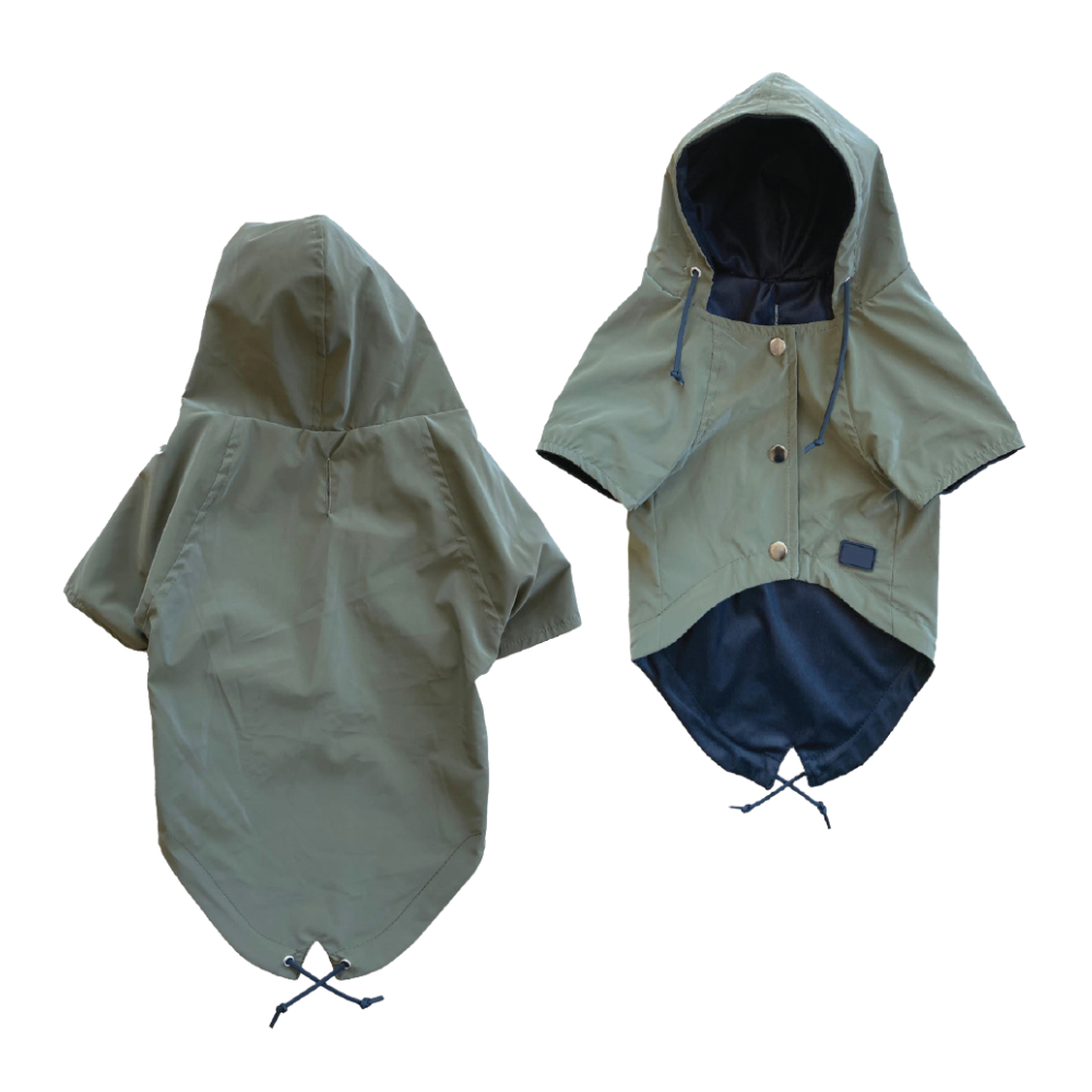 Glee Jacket Mario/ Green