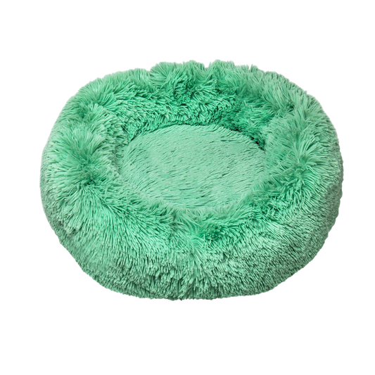 Glee Bed Rome/ Green