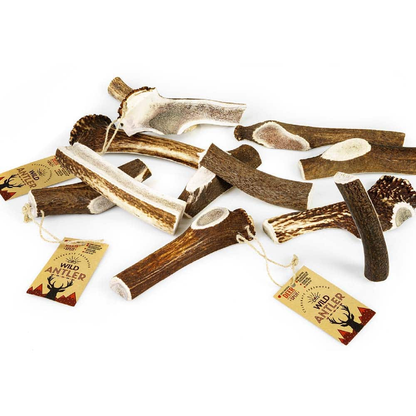 Wild Antler Red Deer Split Antler XS 28-50gr