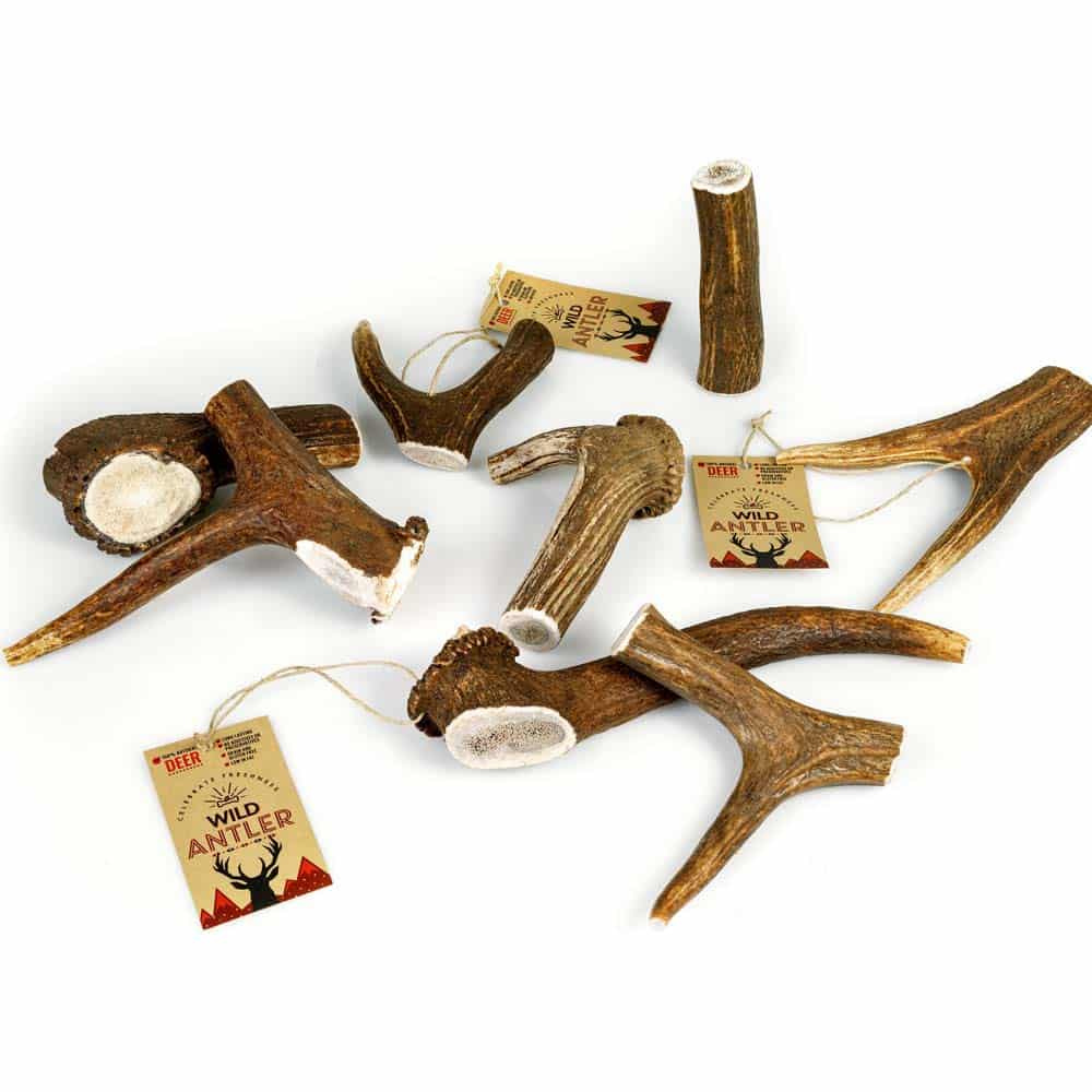 Wild Antler Red Deer Antler M 50-80gr