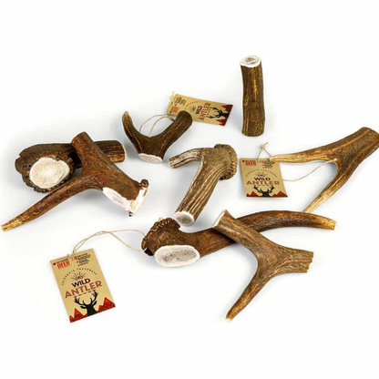 Wild Antler Red Deer Antler M 50-80gr