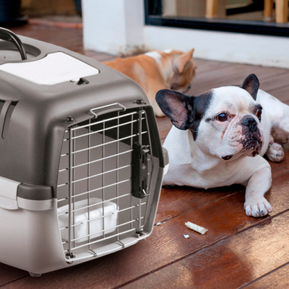 Zolux Transport Box Gulliver 2 Delux/ Grey