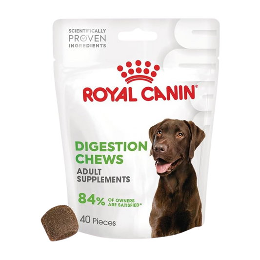 Royal Canin Adult Digestion Supplement
