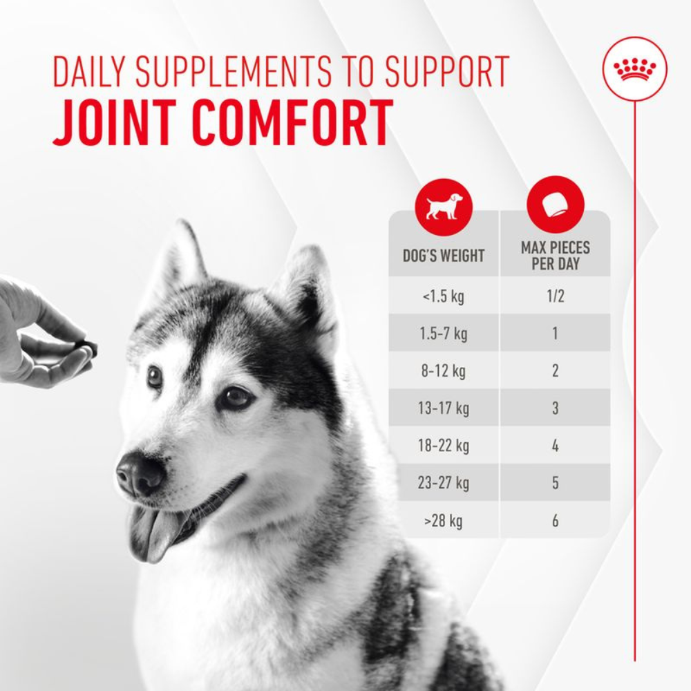 Royal Canin Joint & Ageing Supplement