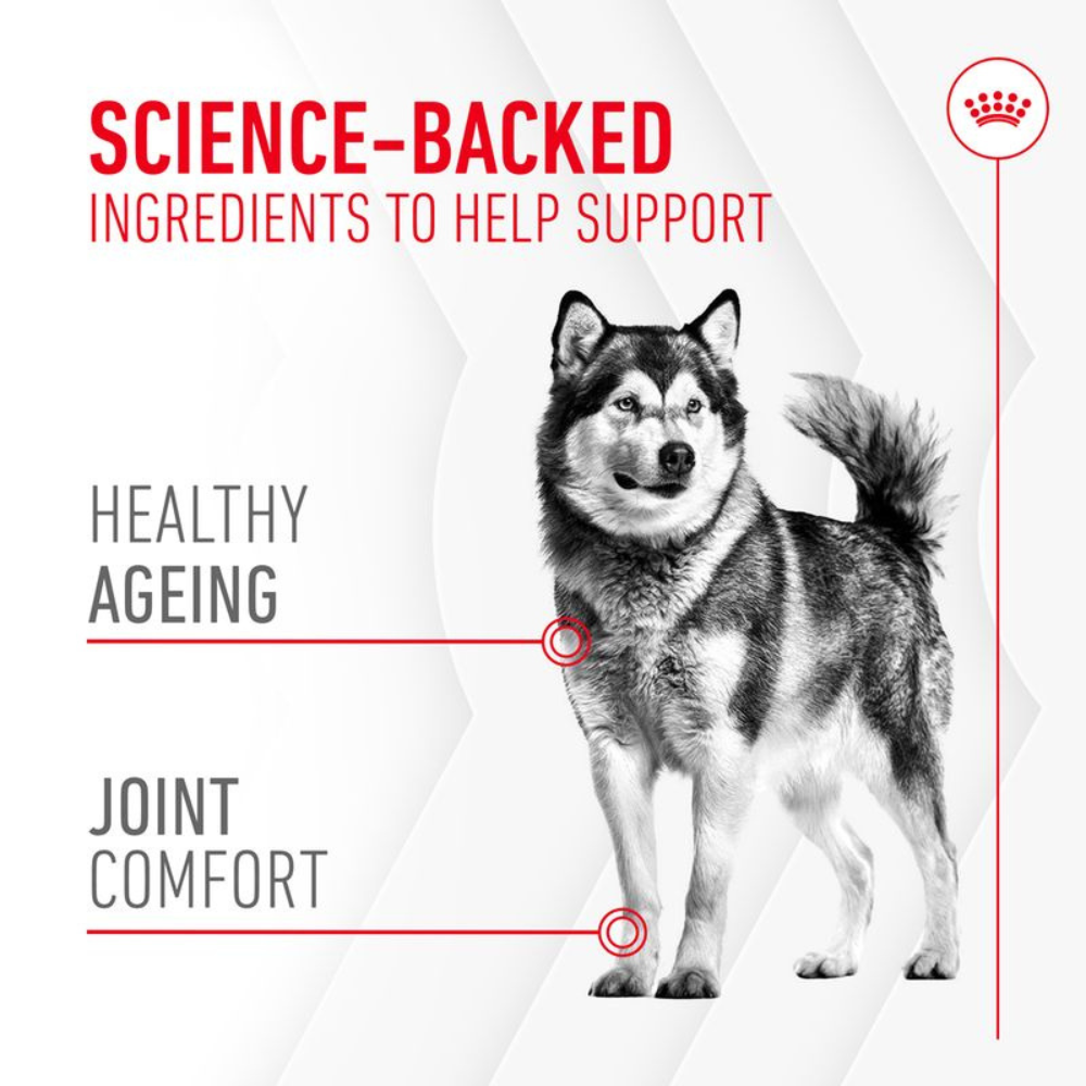 Royal Canin Joint & Ageing Supplement