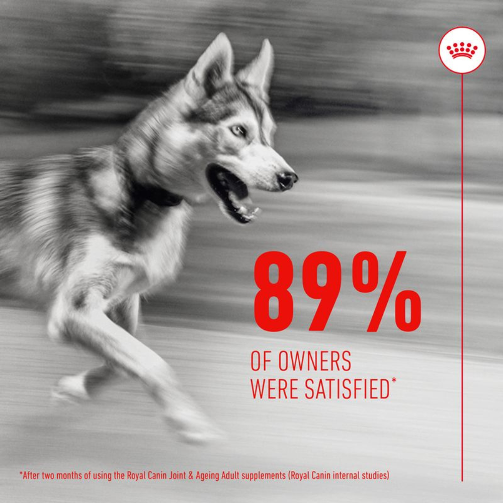 Royal Canin Joint & Ageing Supplement