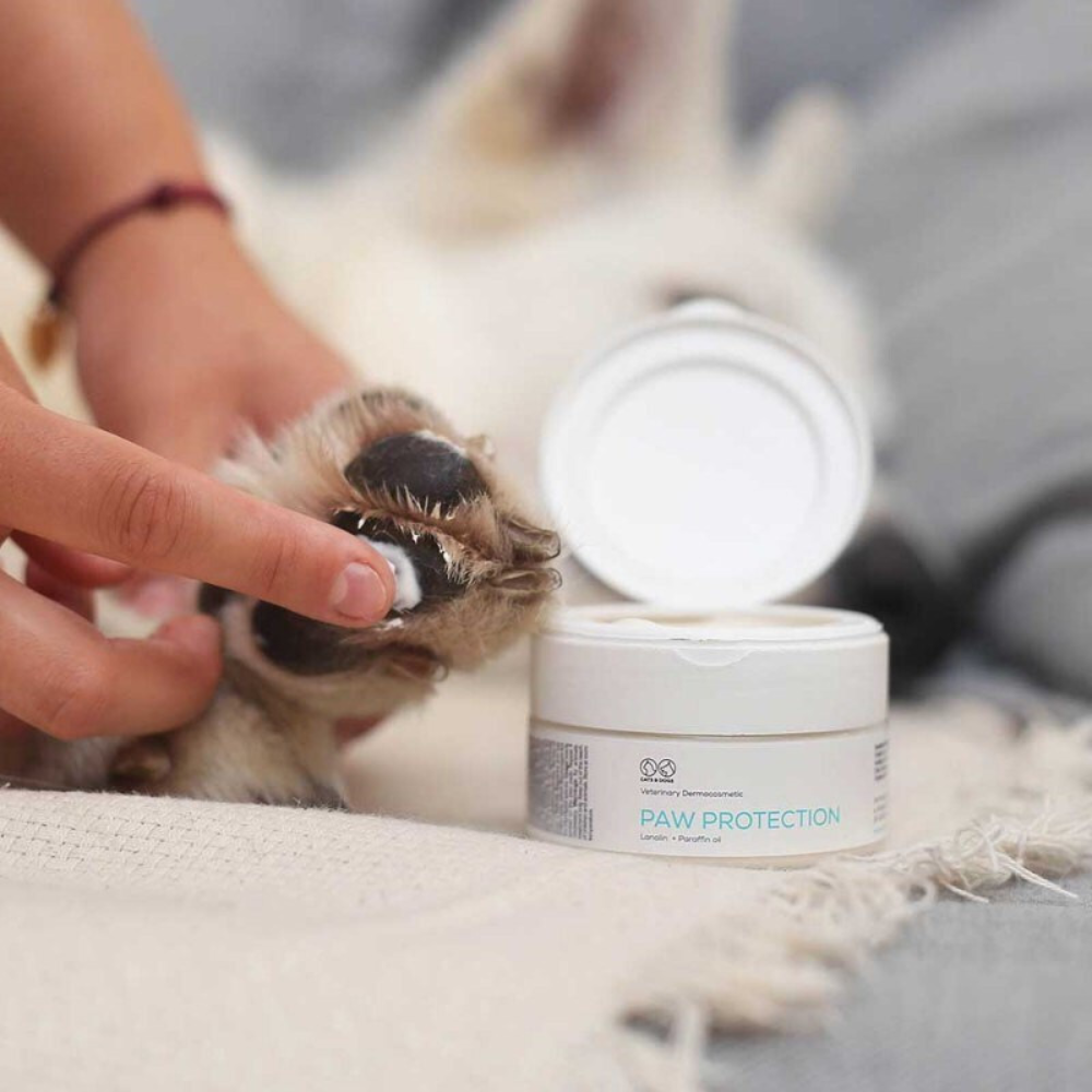 VetExpert Paw Protection
