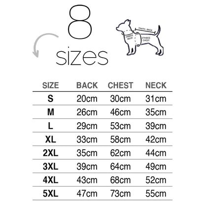 Glee Jacket Frank/ Gray