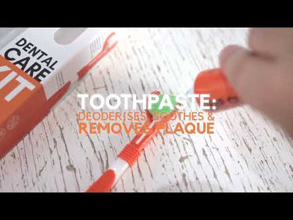 OurDogsLife Dental Kit