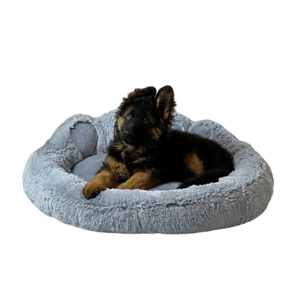 Go Gift Bed/ XL/ Grey