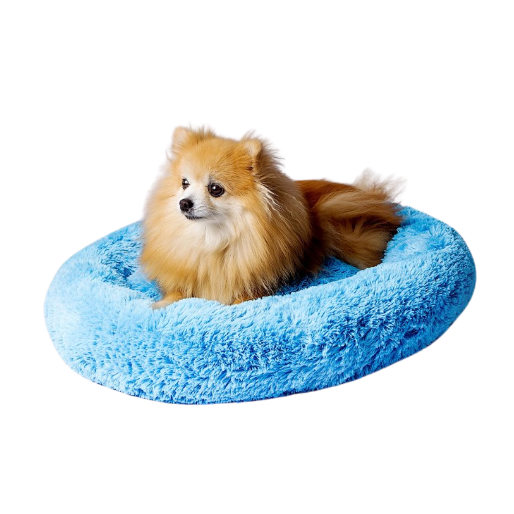 Go Gift Shaggy Bed/ XL/ Blue